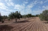 3-6761/1033, Land in Salinas