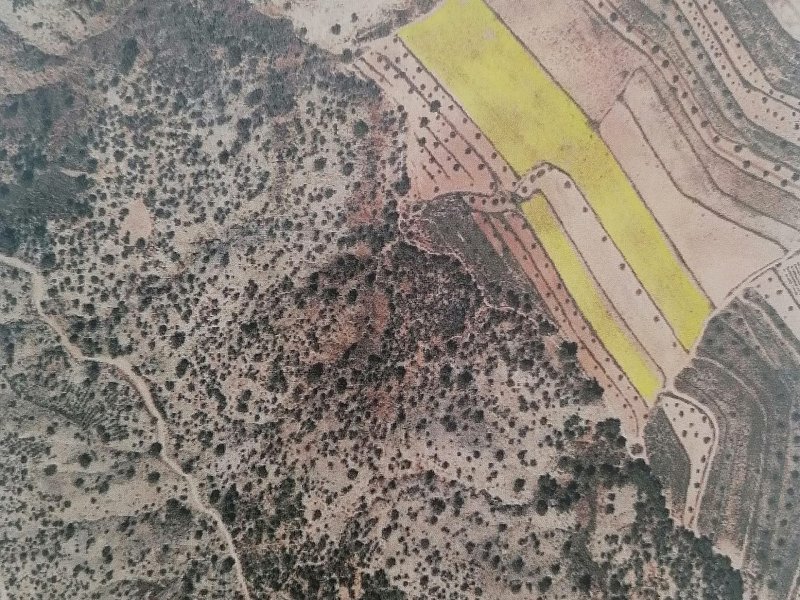 Land in Pinoso