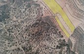 3-6375/1120, Land in Pinoso