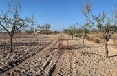 3-6348/1125, Land in Macisvenda