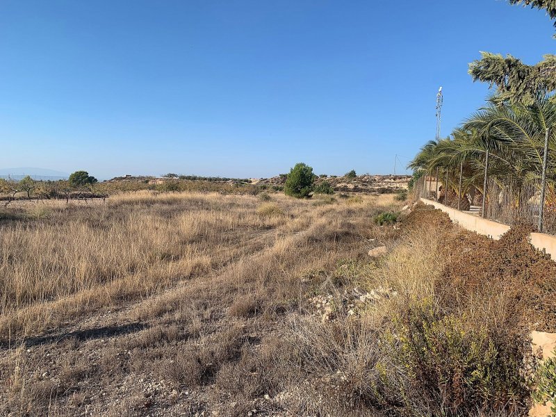 Land in Macisvenda