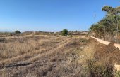 3-6347/1126, Land in Macisvenda