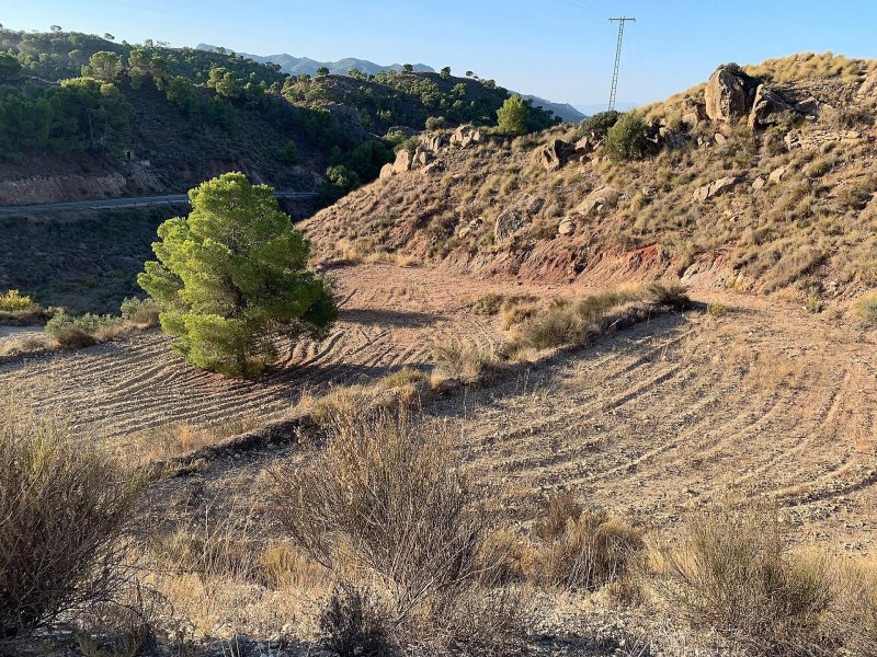 Land in Macisvenda