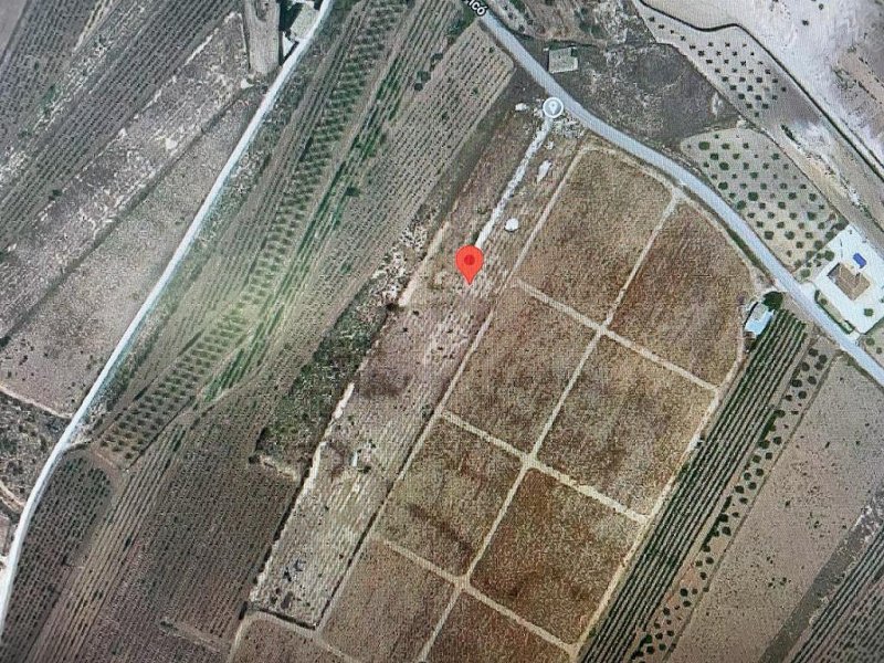 Land in Pinoso