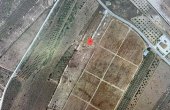 3-6335/1129, Land in Pinoso