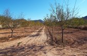 3-6294/1132, Land in Hondón de las Nieves
