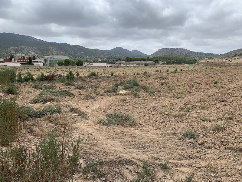Land in Hondón de las Nieves