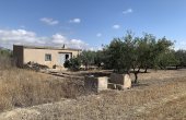 3-6225/1142, Finca in Caudete