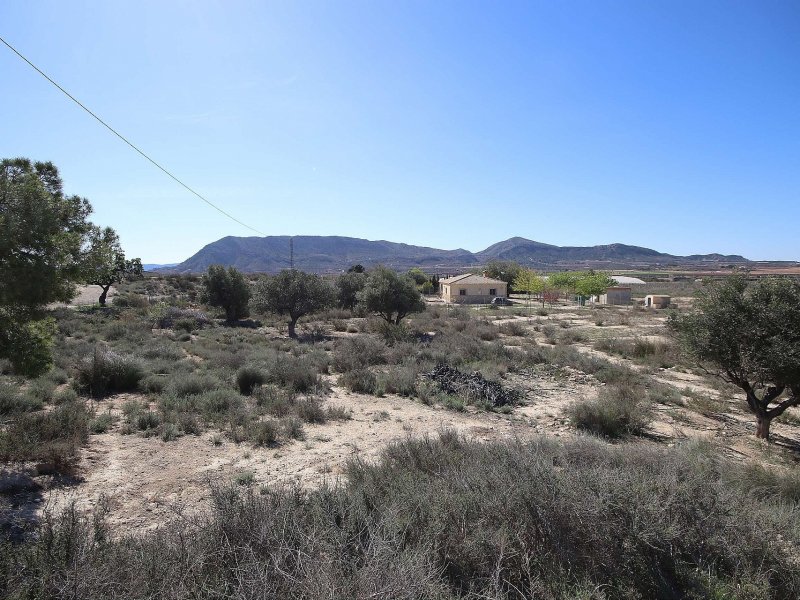 Land in Agost