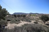 3-5377/1172, Land in Agost