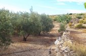 3-5186/1195, Land in Caudete