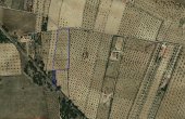 3-5006/1213, Land in Biar