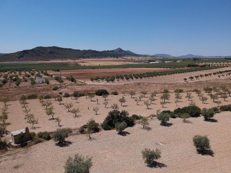 Land in Caudete