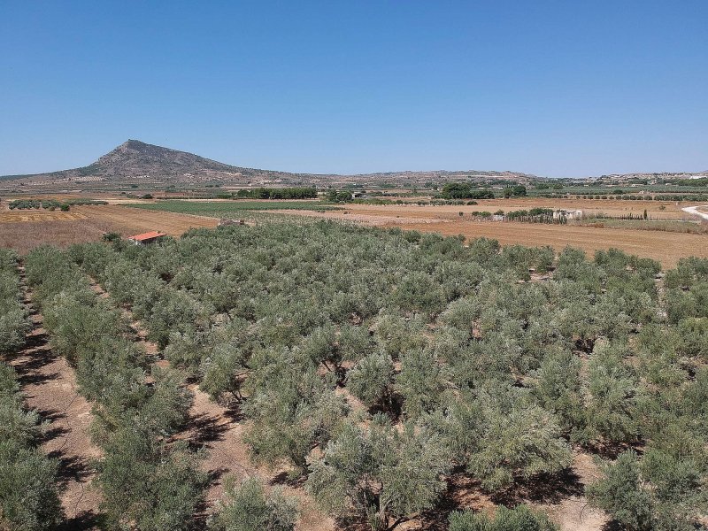 Land in Caudete