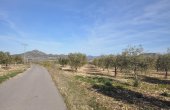 3-4659/1242, Land in Salinas