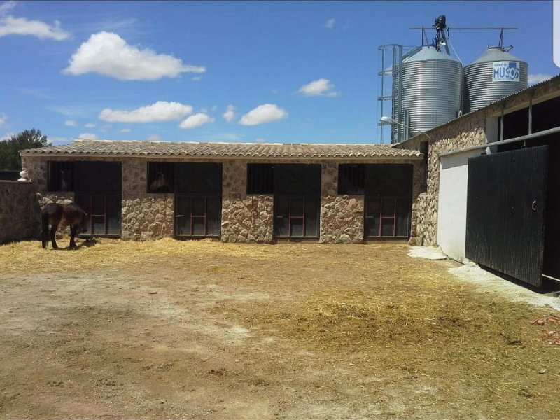 Commercial in Yecla
