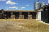 3-4630/1244, Commercial in Yecla