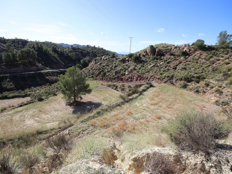 Land in Abanilla
