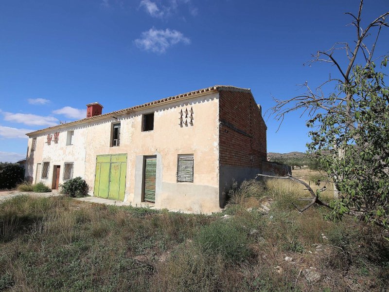 Country house in Yecla
