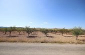 3-4267/1285, Land in Pinoso