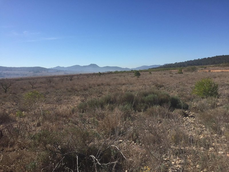 Land in Salinas