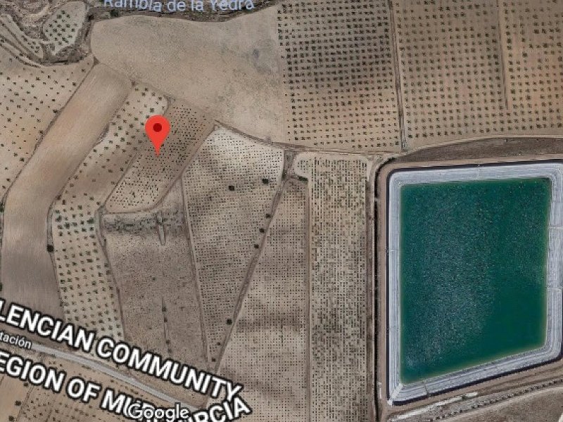 Land in Pinoso