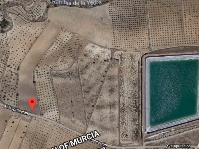 Land in Pinoso