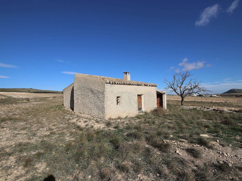 Land in Yecla