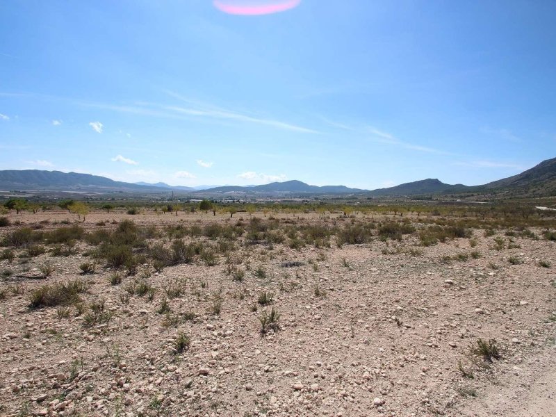 1 Bedroom 1 Bathroom Land in Torre Del Rico