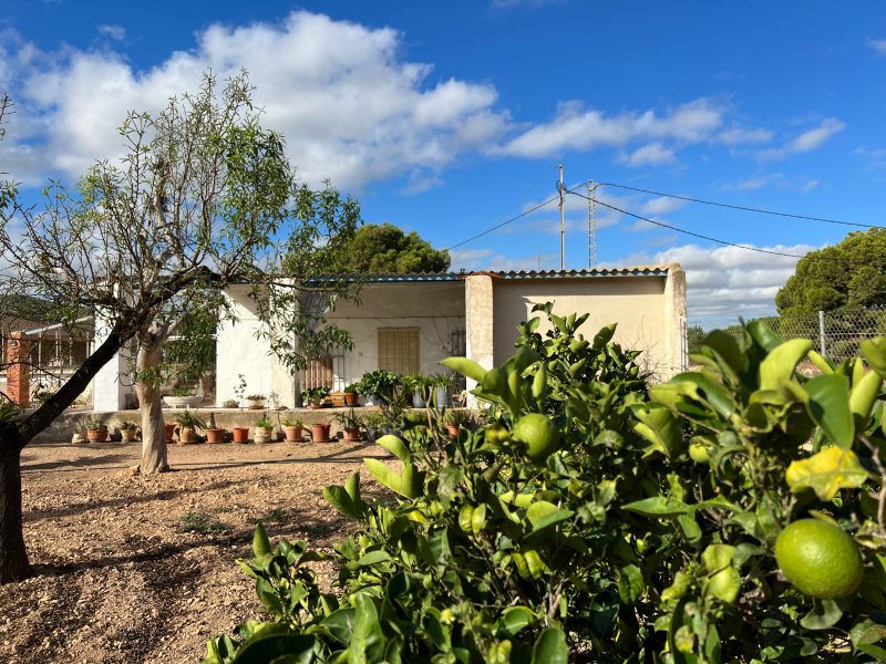 3 Bedroom 1 Bathroom Country home in Barbarroja