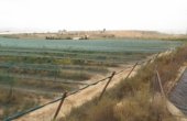 3-7307/795, Land in Monforte Del Cid