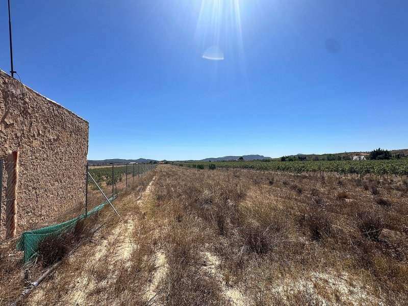 Land in Pinoso