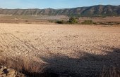 3-7162/879, Land in Salinas
