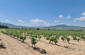 3-7073/930, Land in Salinas
