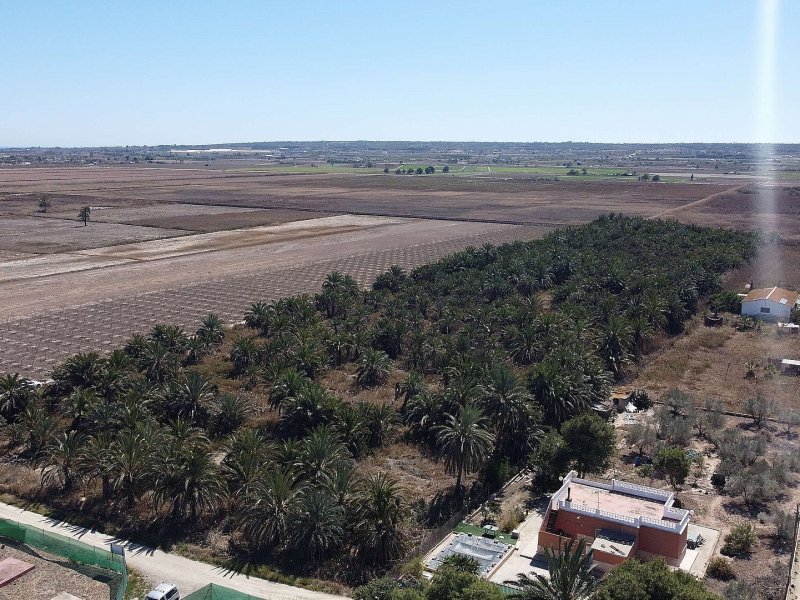 Land in Elche