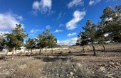 3-6939/973, Land in Salinas