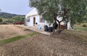 3-6911/985, 1 Bathroom Finca in Salinas