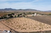 3-6869/994, Land in Pinoso