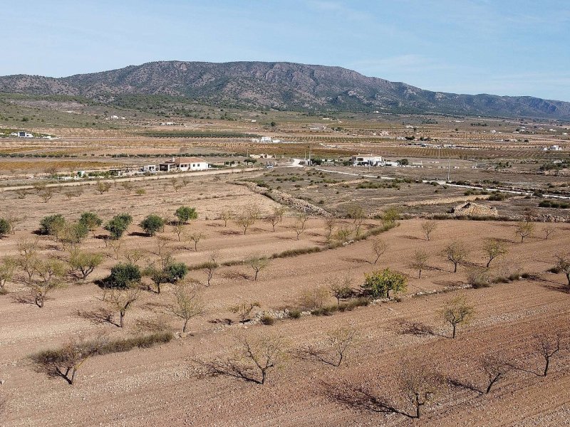 Land in Pinoso