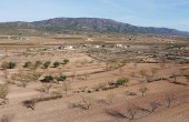 3-6867/995, Land in Pinoso